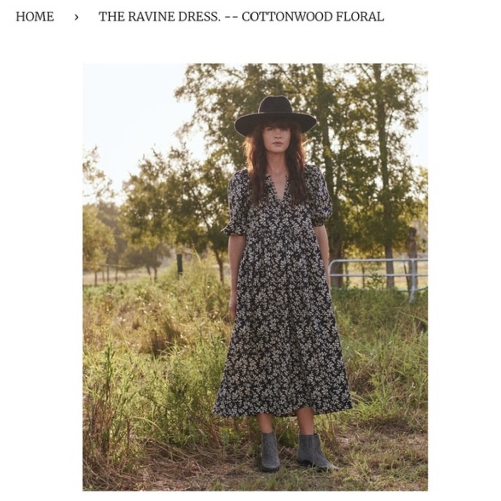 THE GREAT Ravine Dress Cottonwood Floral